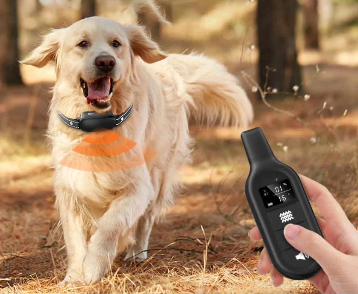 Collare elettrico per addestramento cani con telecomando, impermeabile, 16 livelli di scossa regolabili, portata 1000 m, modalità segnale e vibrazione