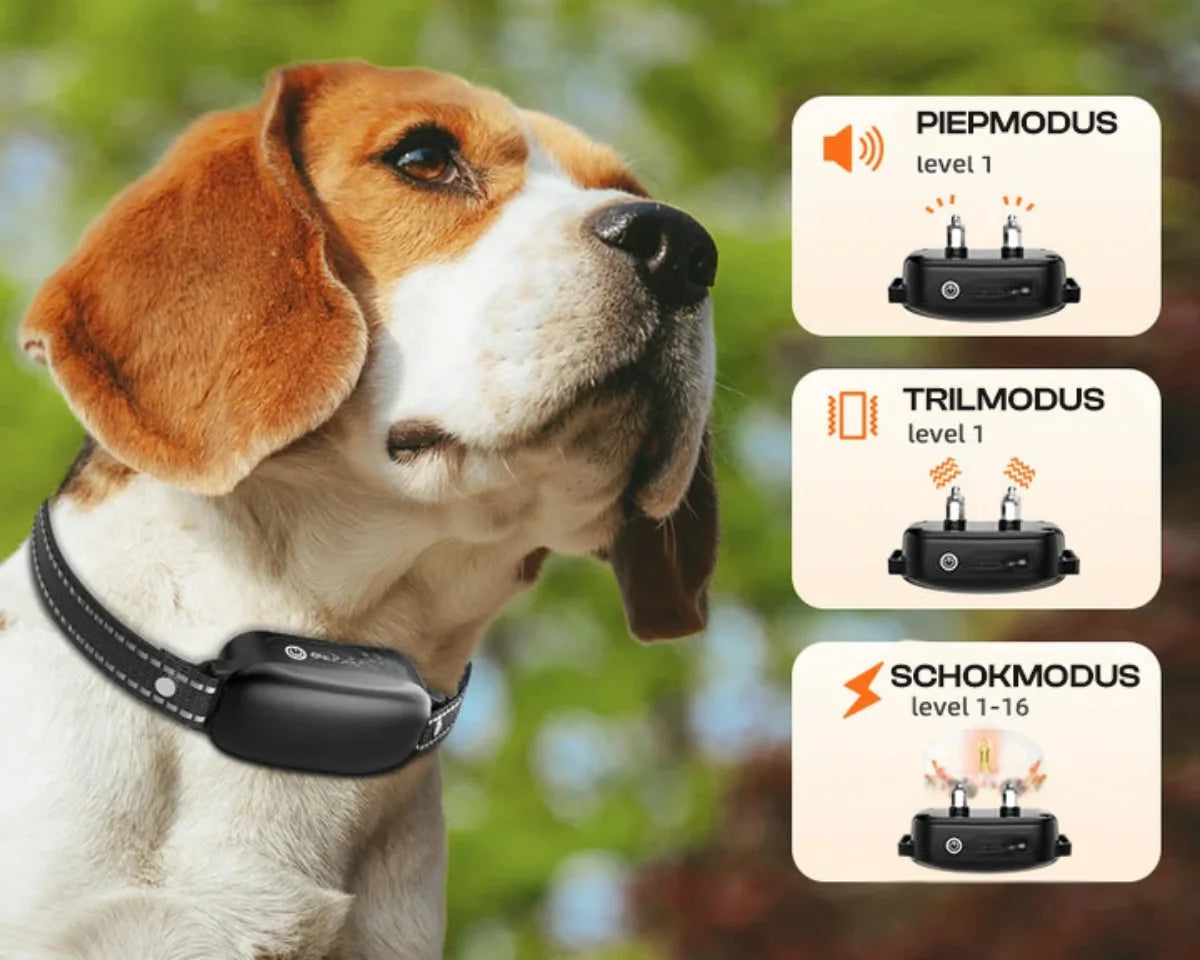 Collare elettrico per addestramento cani con telecomando, impermeabile, 16 livelli di scossa regolabili, portata 1000 m, modalità segnale e vibrazione