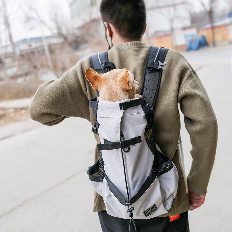 Safepaws – Robuste Hundereisetasche mit Seitentasche für Katzen und Hunde 1