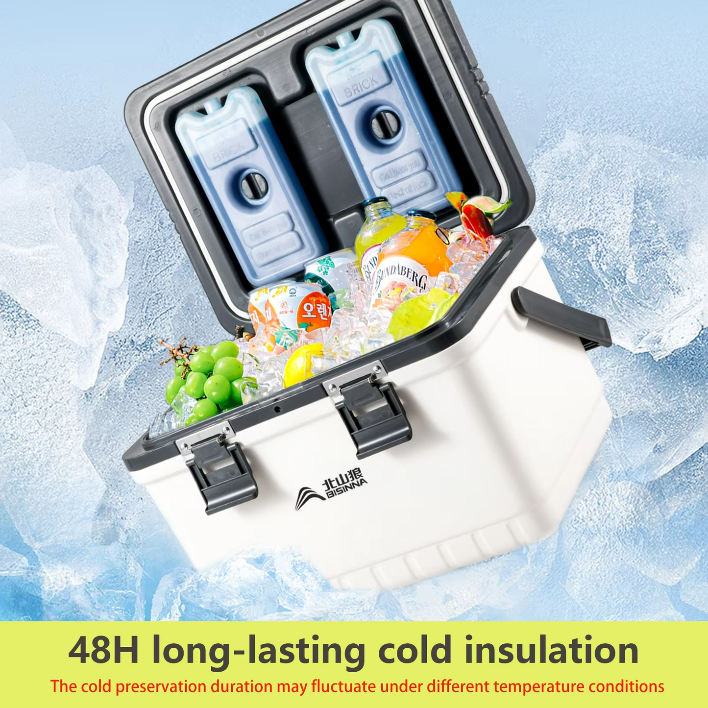 Portable ice chest cooler box with high capacity for camping and travel