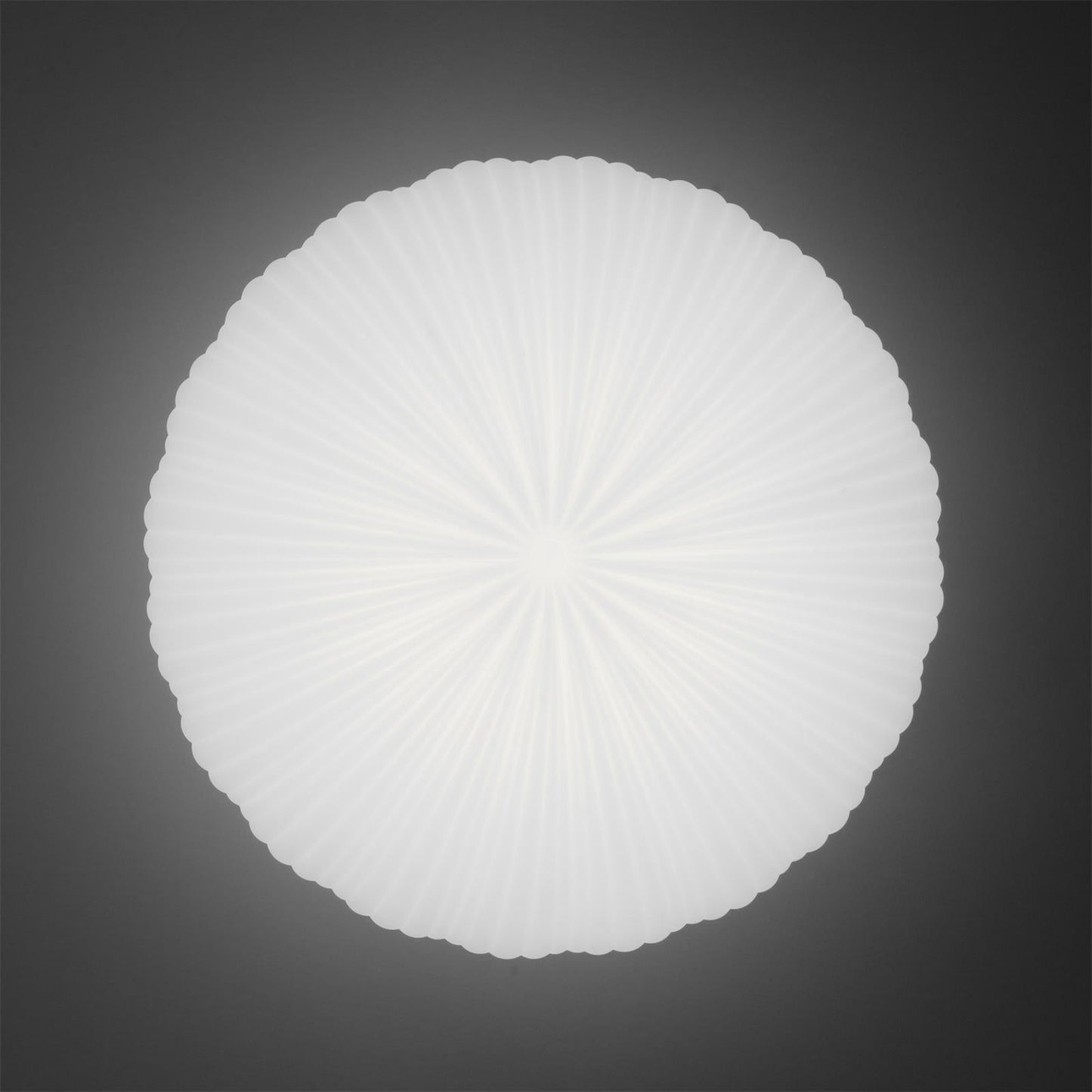 Ambiente ceiling light – Elegant ceiling lamp design