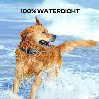 Elektrisches Hundetrainingshalsband mit Fernbedienung, wasserdicht, 16 einstellbare Schockstufen, 1000 m Reichweite, Piep- und Vibrationsmodi 4