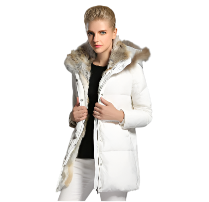 Elodie | Gesteppte Puffer-Kapuzenjacke für Damen für tägliche Wärme 1