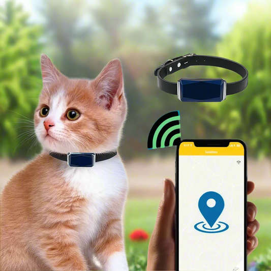 GPS Halsband für Katzen mit Echtzeit-Tracking – Leichtes Katzenhalsband mit GPS und mobiler App zur Standortverfolgung 0