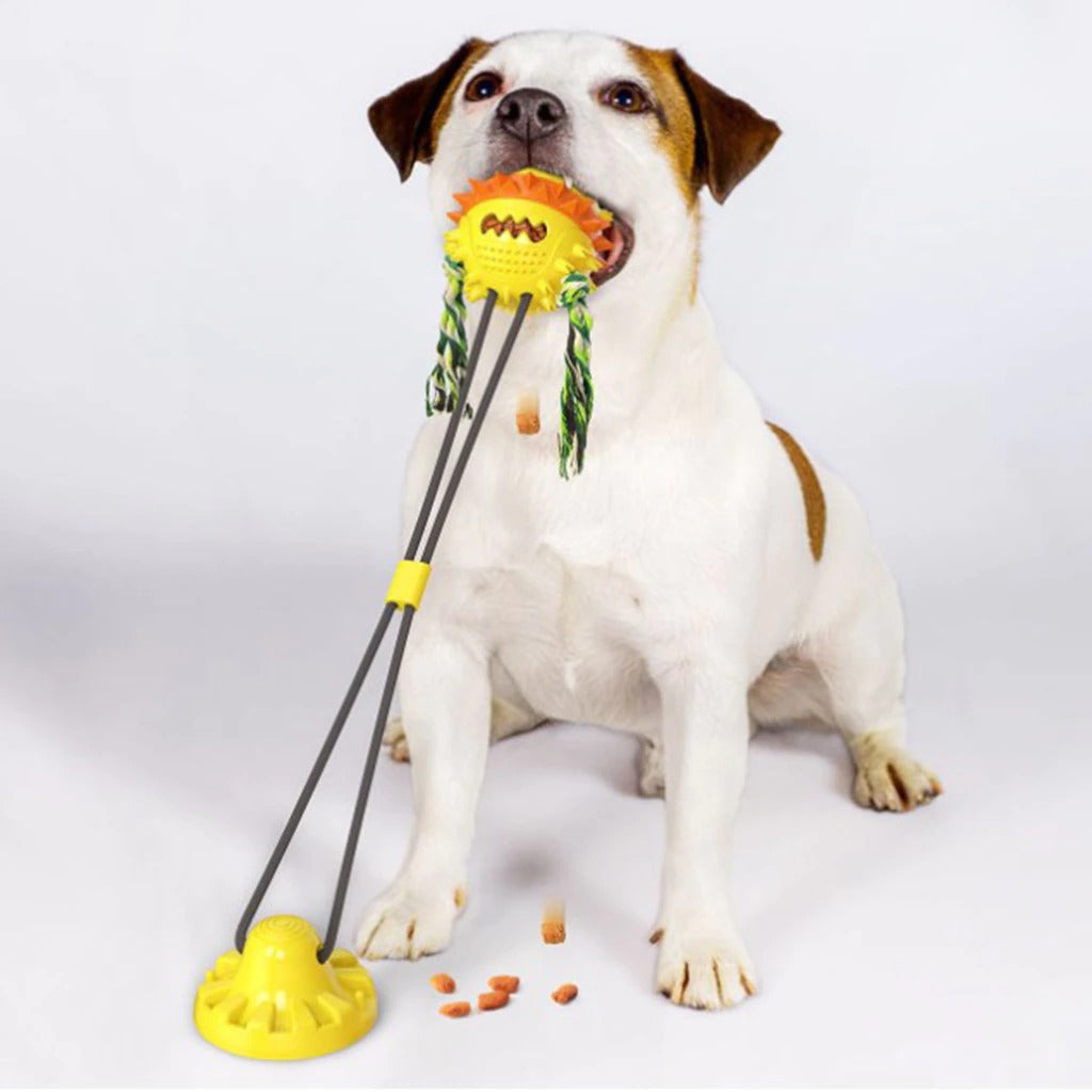 Interaktives, selbstspielendes Haustierspielzeug – langlebiges Hundespielzeug mit Kaustangen und rollenden Bällen für alle Größen, fördert die Zahngesundheit 5