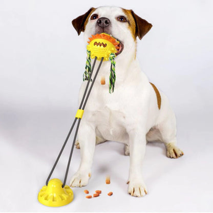 Interaktives, selbstspielendes Haustierspielzeug – langlebiges Hundespielzeug mit Kaustangen und rollenden Bällen für alle Größen, fördert die Zahngesundheit 5