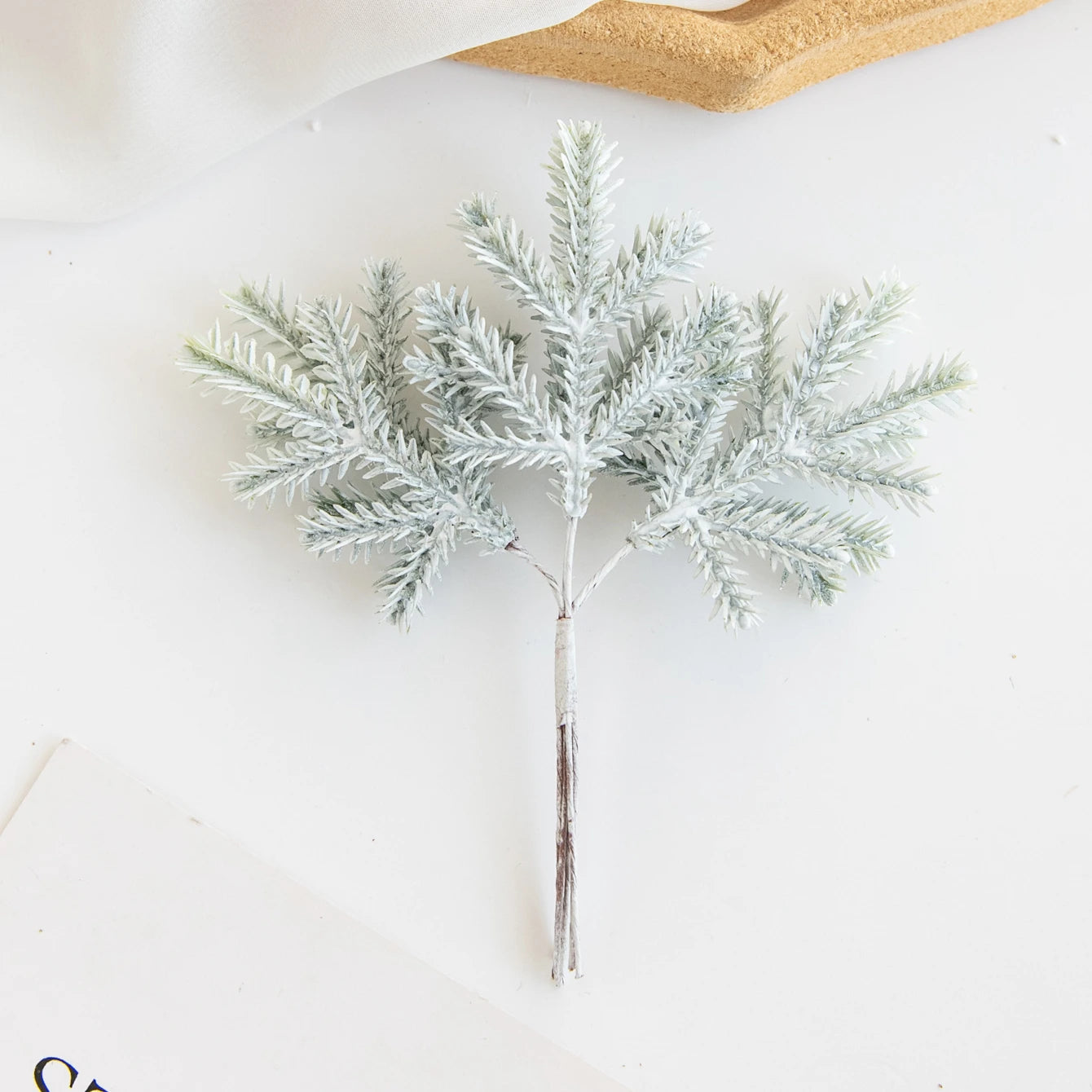 Kaktus-Charme | Luxuriöse grüne Blätter-Dekoration 0