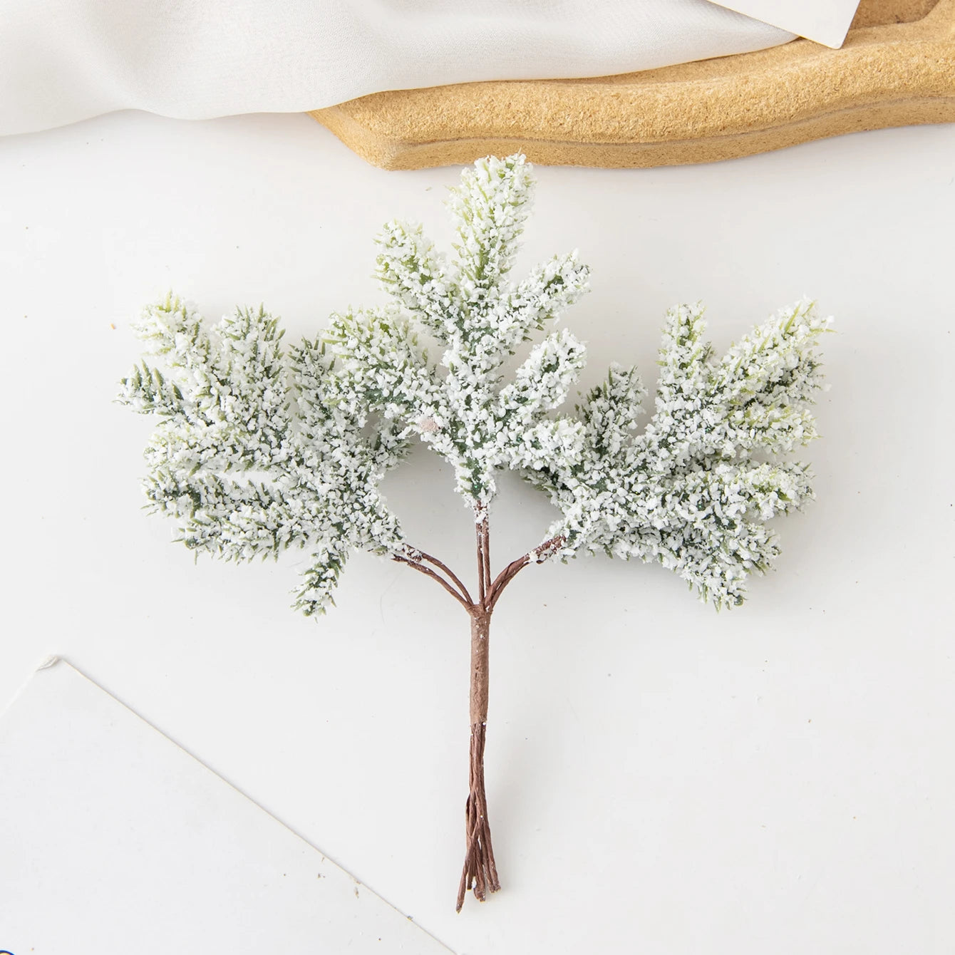 Kaktus-Charme | Luxuriöse grüne Blätter-Dekoration 7