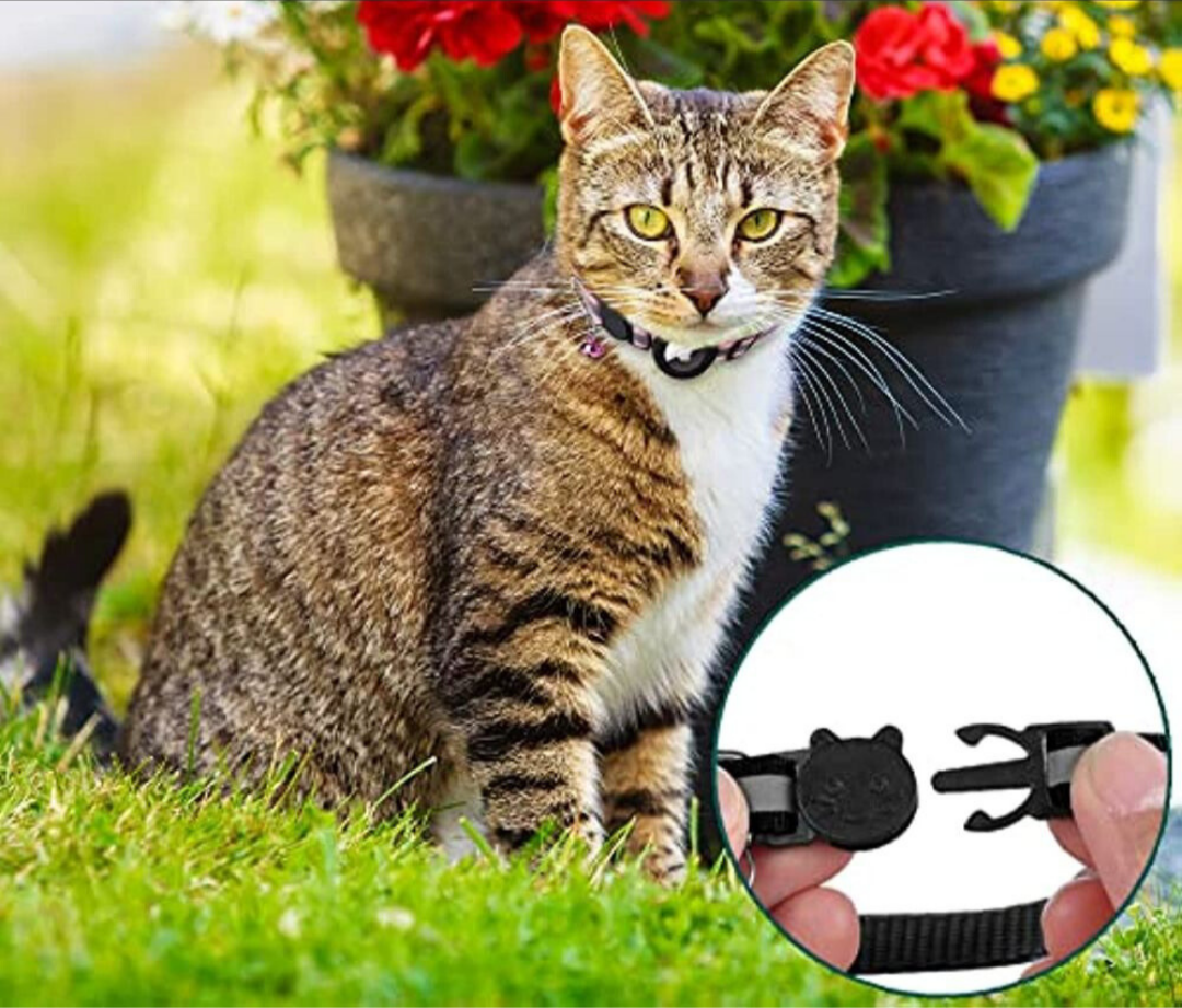 PS cat collar with safety clasp & reflective design for better visibility at night