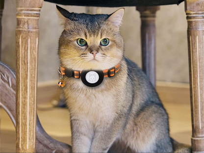 PS cat collar with safety clasp & reflective design for better visibility at night