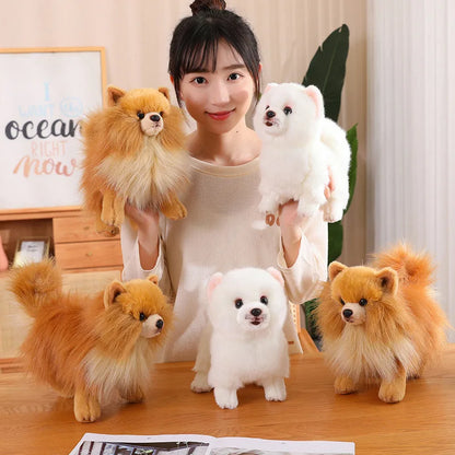 Niedlicher Plüschhund Pomeranian – Weiches Spielzeug für Kinder, Ideales Geschenk für Mädchen 2