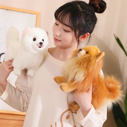 Niedlicher Plüschhund Pomeranian – Weiches Spielzeug für Kinder, Ideales Geschenk für Mädchen 5