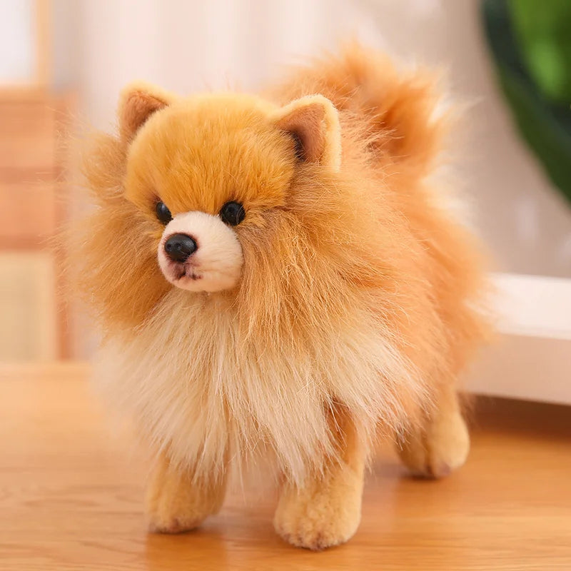 Niedlicher Plüschhund Pomeranian – Weiches Spielzeug für Kinder, Ideales Geschenk für Mädchen 6