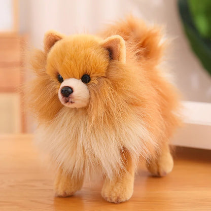 Niedlicher Plüschhund Pomeranian – Weiches Spielzeug für Kinder, Ideales Geschenk für Mädchen 6