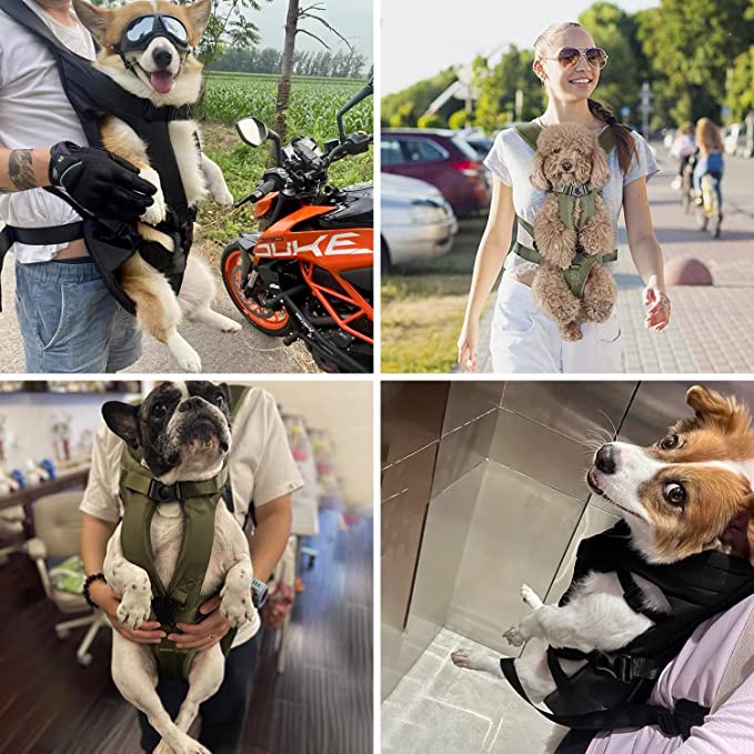 Petcarry – Freihändiger Hundetragerucksack für bequemes Reisen und einfache Mobilität 1