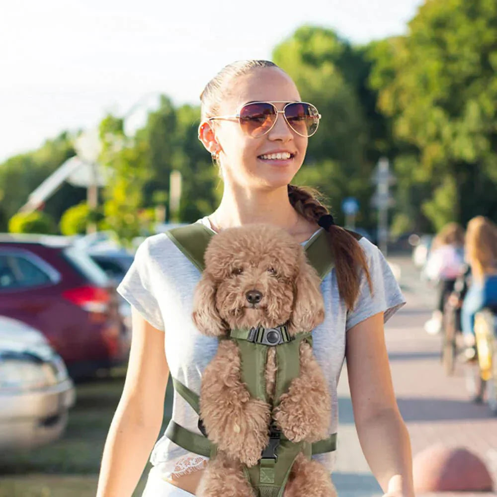 Petcarry – Freihändiger Hundetragerucksack für bequemes Reisen und einfache Mobilität 2
