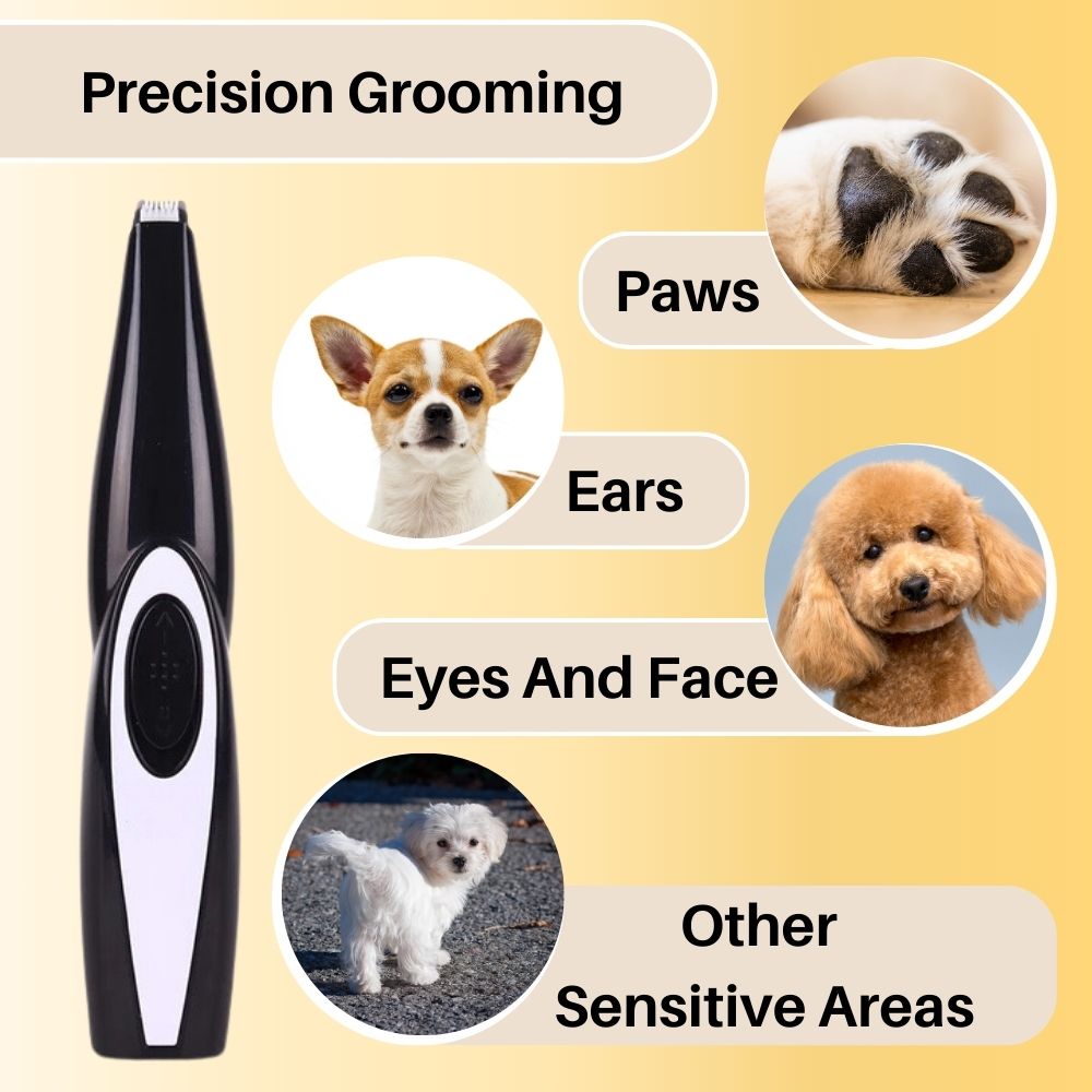 Professionelle Hundeschermaschine mit flüsterleiser Technologie und ergonomischem Design für alle Felltypen 1