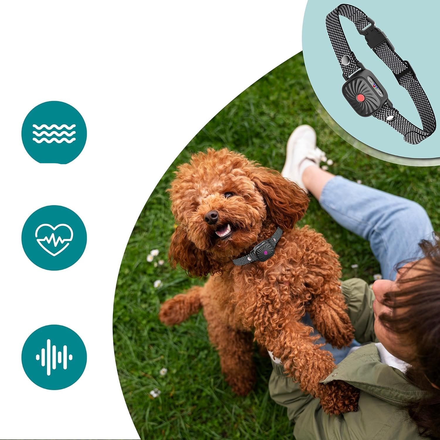 Quietpaw – Verstellbares Anti-Bell-Halsband für Hunde – Humanes Gerät zur Bellkontrolle 2