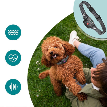 Quietpaw – Verstellbares Anti-Bell-Halsband für Hunde – Humanes Gerät zur Bellkontrolle 2