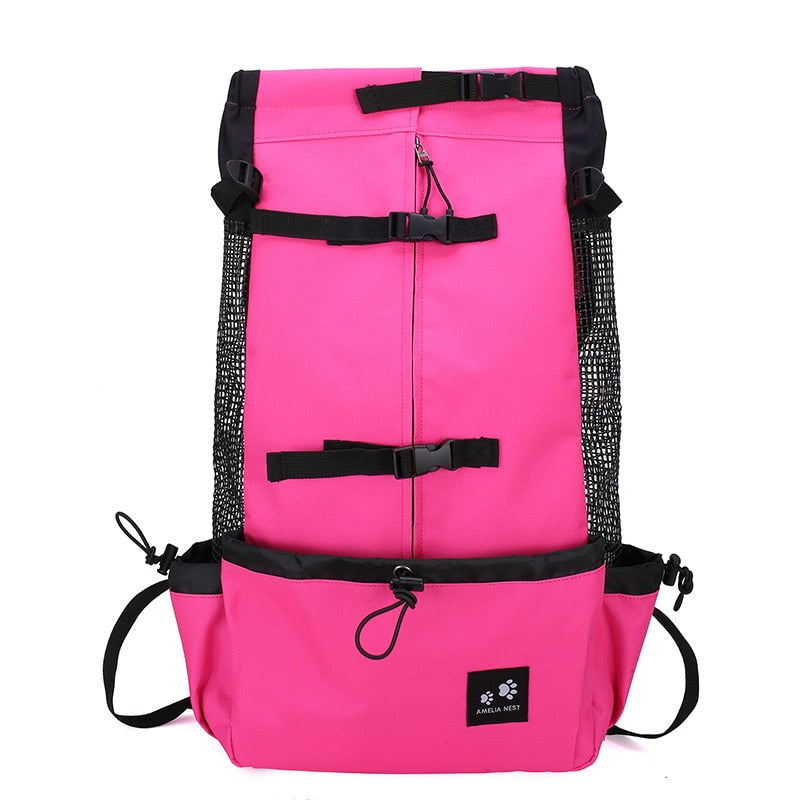 Safepaws – Robuste Hundereisetasche mit Seitentasche für Katzen und Hunde 14